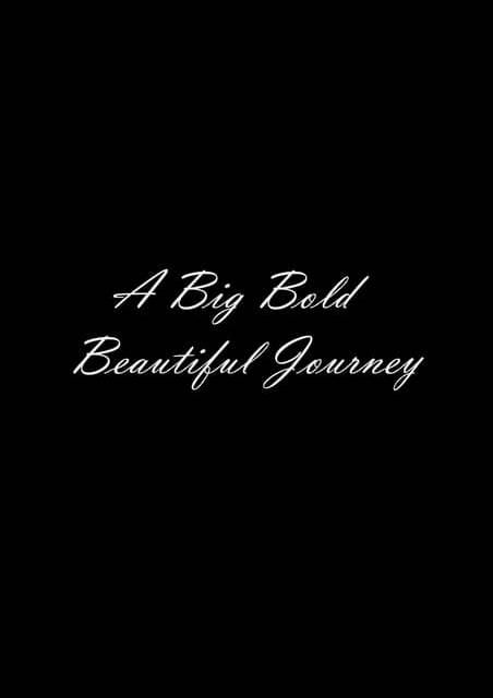 A Big Bold Beautiful Journey  Subtitled Screening